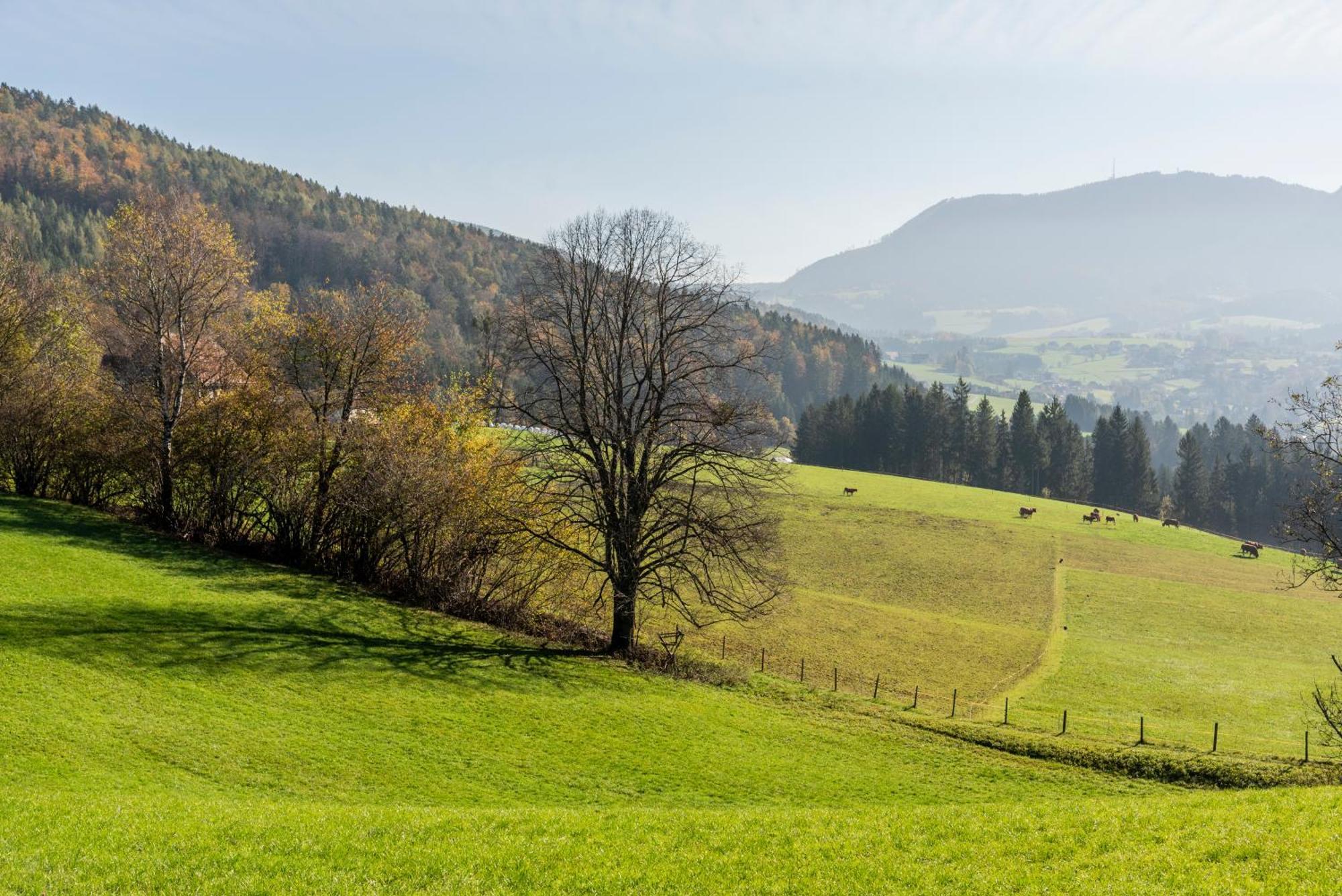 Ferienwohnung Am Labyrinth Semriach Exteriér fotografie