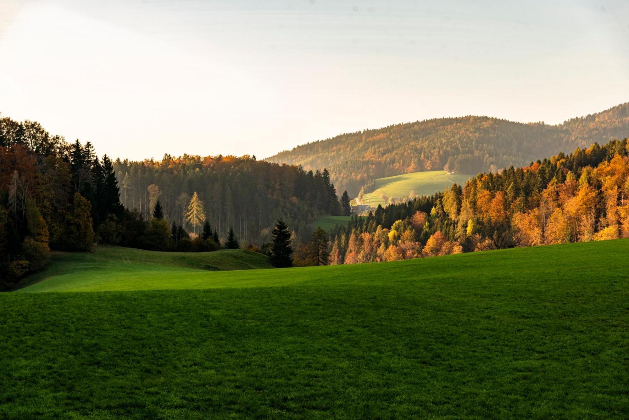 Ferienwohnung Am Labyrinth Semriach Exteriér fotografie